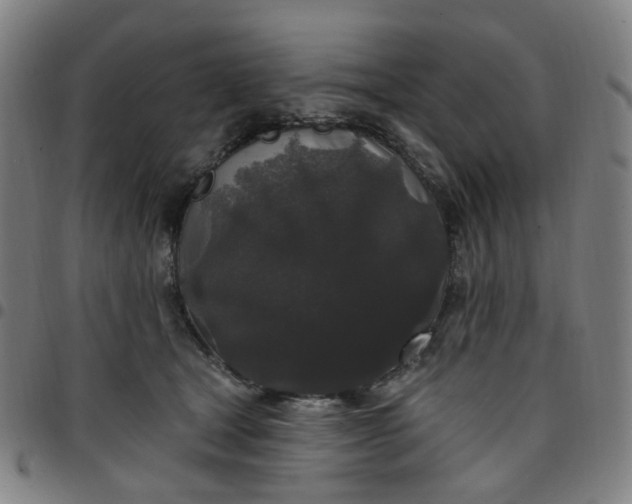 X0000097510465200803071828