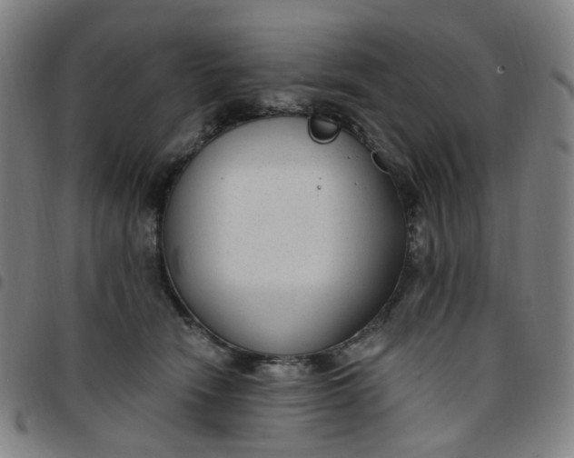 X0000097510466200803071828