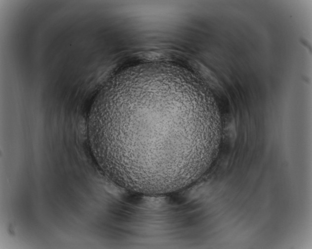 X0000097510469200803071828