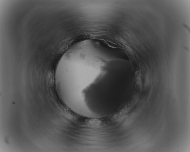 X0000097510471200803071828