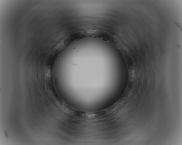 X0000097510472200803071828