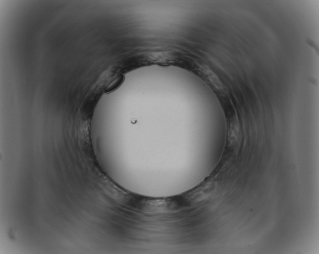 X0000097510473200803071828