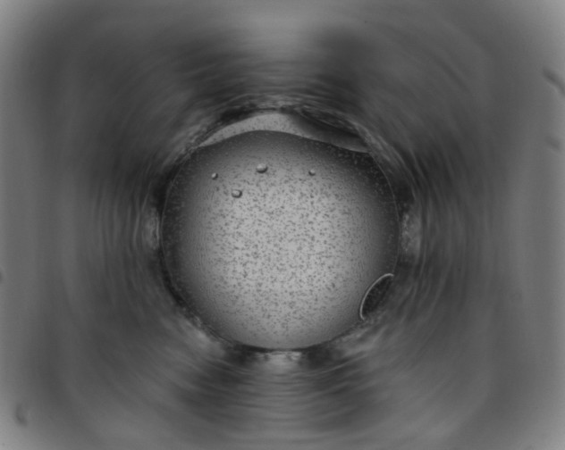 X0000097510474200803071828