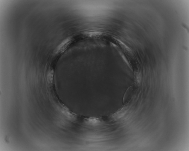 X0000097510475200803071828