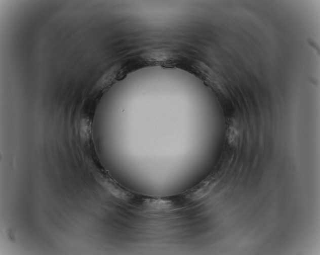 X0000097510476200803071828