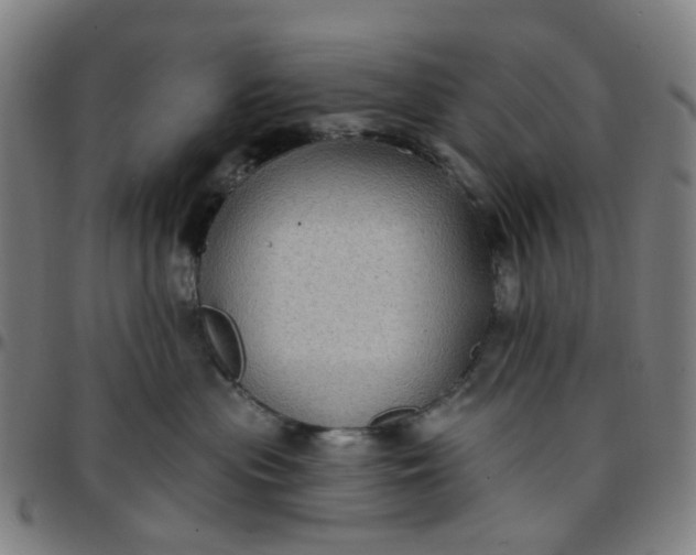 X0000097510477200803071828