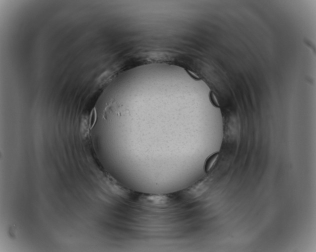 X0000097510478200803071829