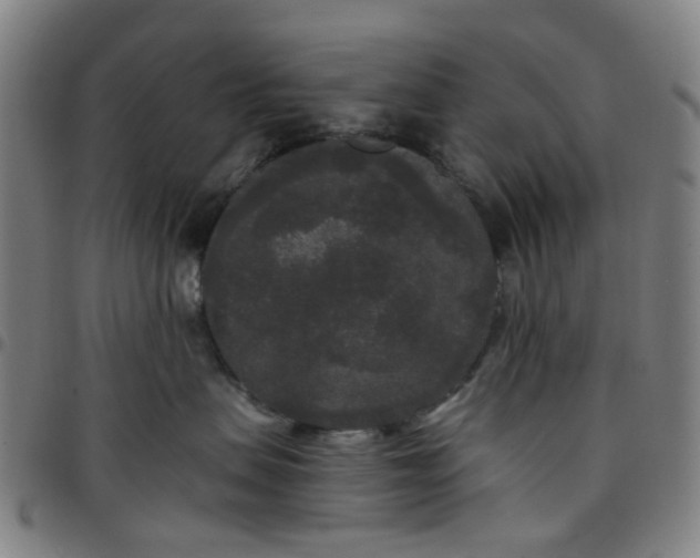 X0000097510479200803071829