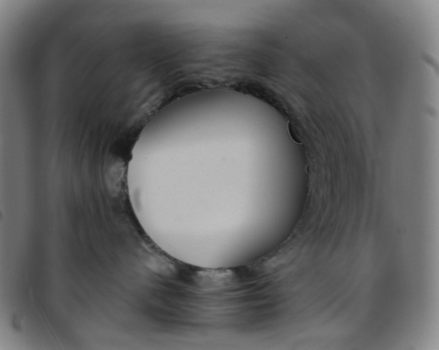 X0000097510480200803071829