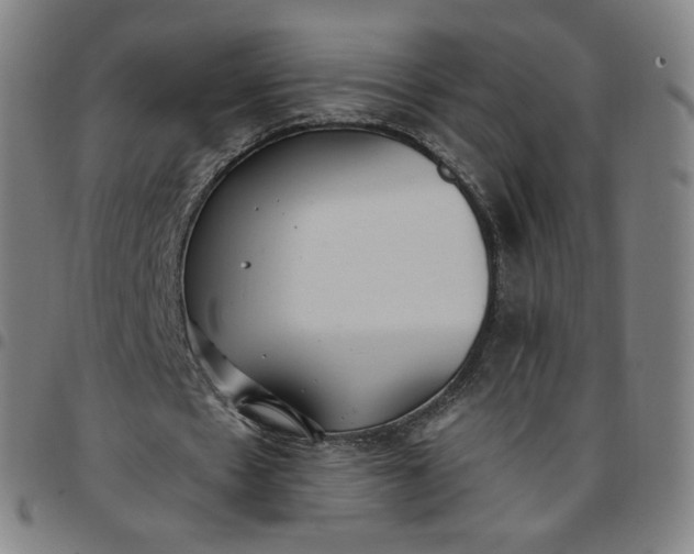 X0000097510481200803071828