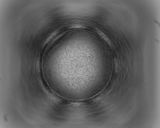 X0000097510482200803071828