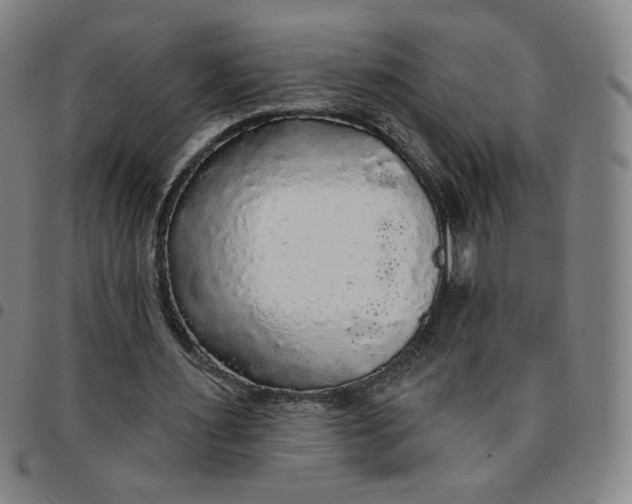 X0000097510483200803071828