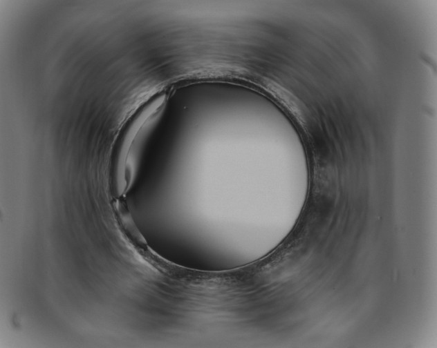 X0000097510485200803071828