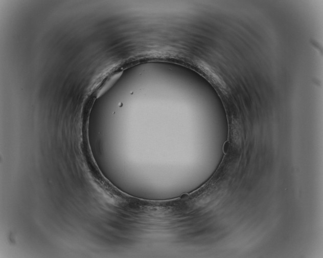 X0000097510486200803071828