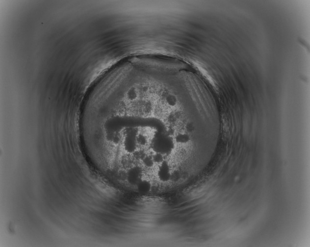 X0000097510487200803071828