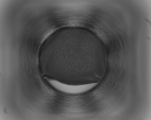 X0000097510488200803071828