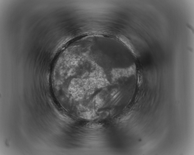 X0000097510491200803071828