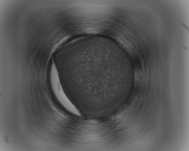 X0000097510492200803071828