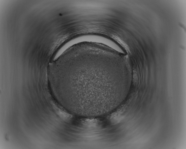 X0000097510493200803071828