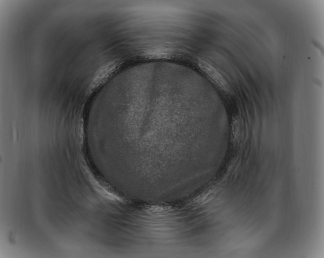 X0000097510494200803071828