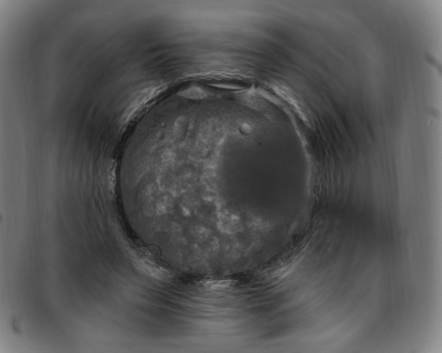 X0000097510495200803071828