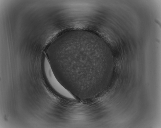 X0000097510496200803071828