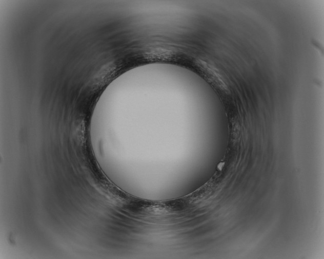 X0000097510498200803071828