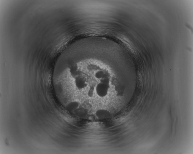 X0000097510499200803071828