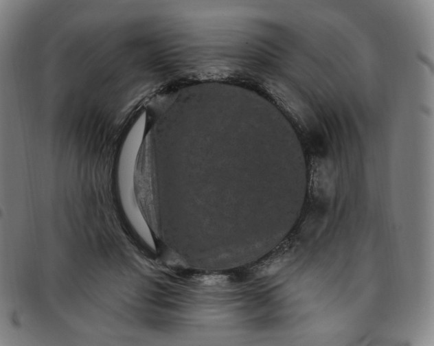 X0000097510501200803071828