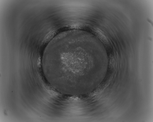 X0000097510502200803071828