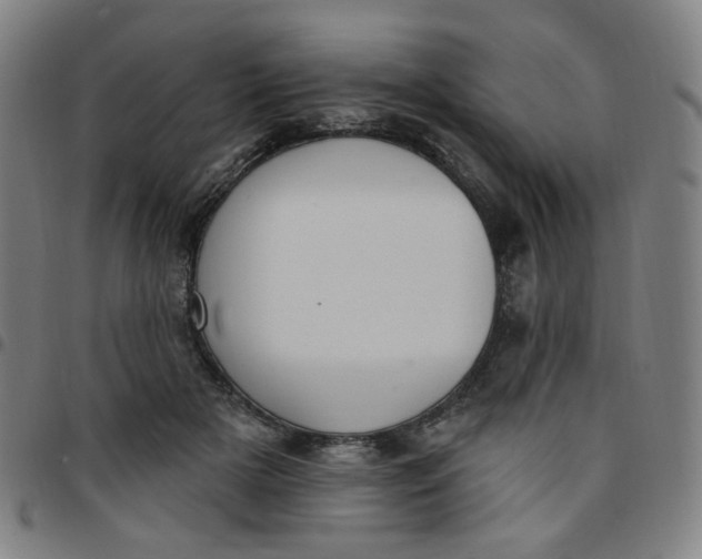 X0000097510505200803071827