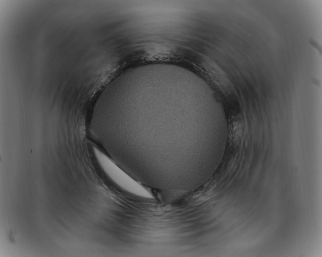 X0000097510508200803071827