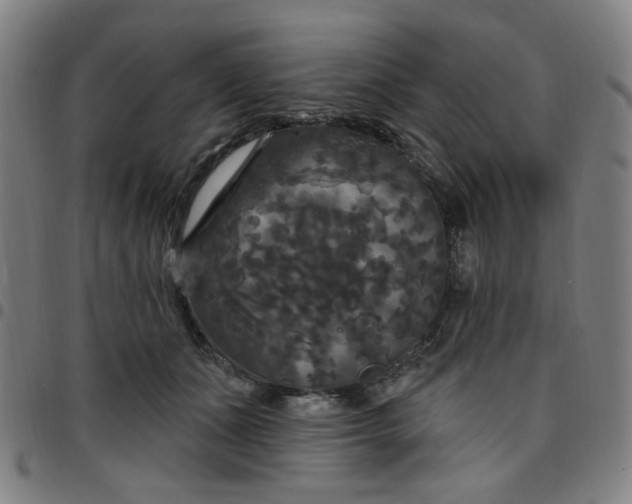 X0000097510511200803071827