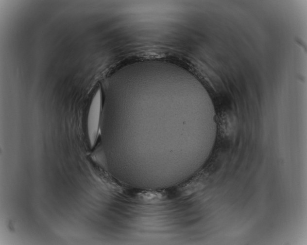 X0000097510512200803071827