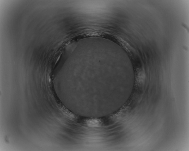 X0000097510513200803071827