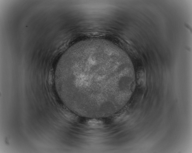 X0000097510515200803071827