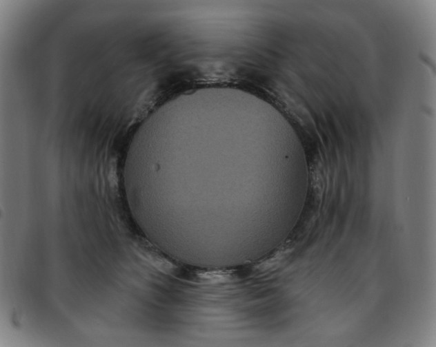 X0000097510516200803071827