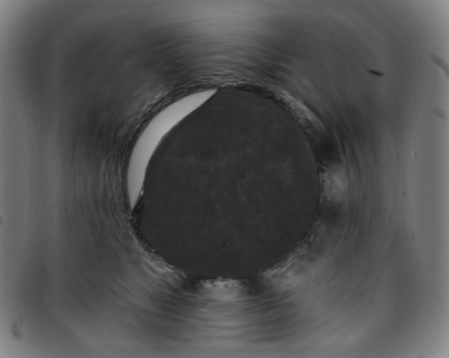 X0000097510517200803071827