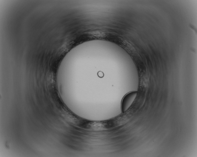 X0000097510518200803071827