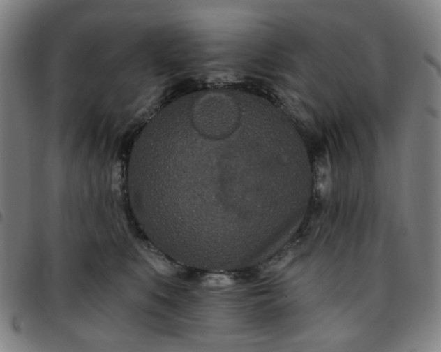 X0000097510519200803071827