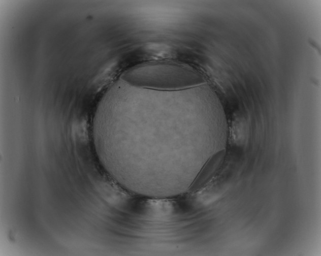 X0000097510520200803071827