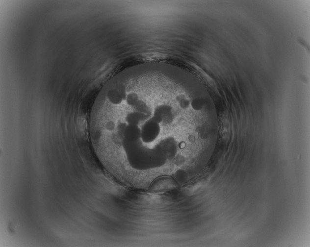 X0000097510523200803071827