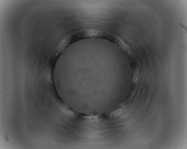 X0000097510524200803071827