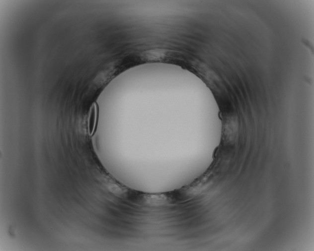 X0000097510525200803071827