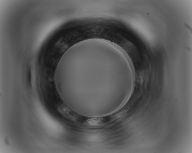 X0000097510526200803071827