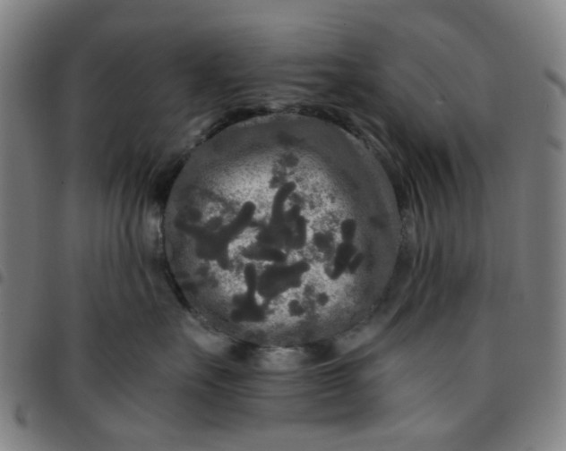 X0000097510527200803071827