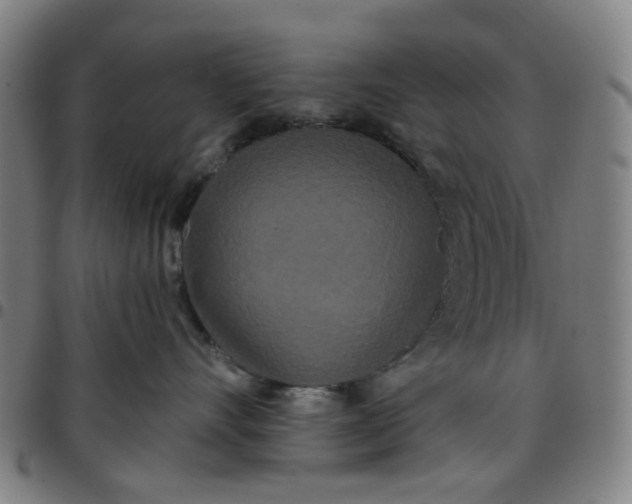 X0000097510528200803071827