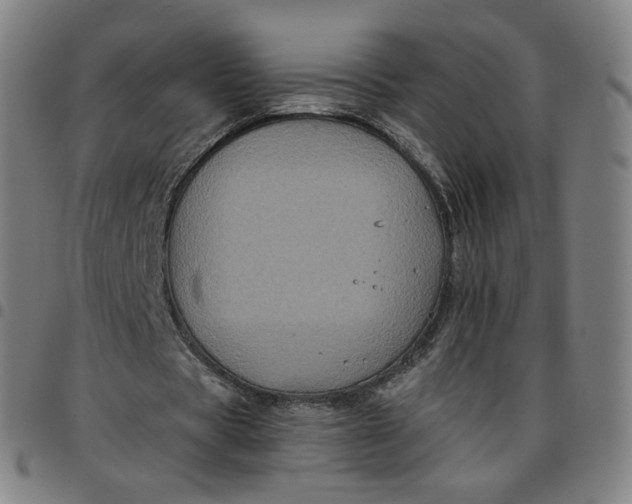 X0000097510529200803071826