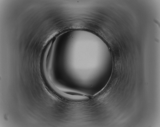 X0000097510530200803071826