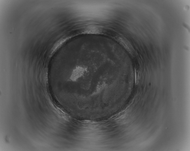 X0000097510531200803071826